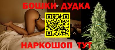 индика Гай