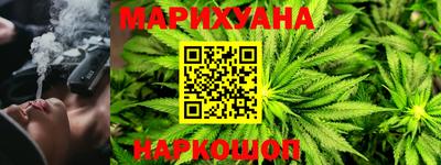 индика Гай