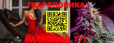 ПСИЛОЦИБИНОВЫЕ ГРИБЫ Гагарин
