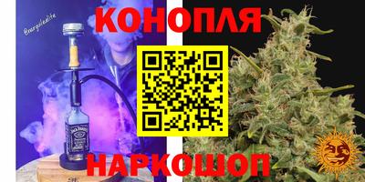 индика Гай