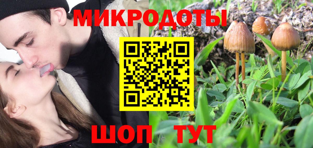 Хасавюрт  где найти наркотики  Вход с VPN  Галлюциногенные грибы Magic Shrooms 